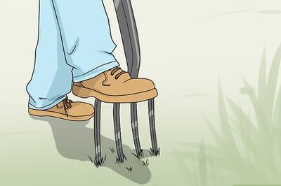 How to Prepare Your Yard for Summer