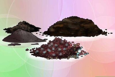 How to Mix Your Own Cactus and Succulent Soil