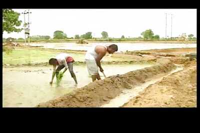 Land Bill: Farmers' bodies meet Centre, discuss grievances