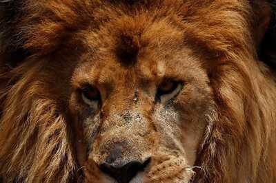 Opinion | Why Sita And Akbar Should Be Renamed—And How