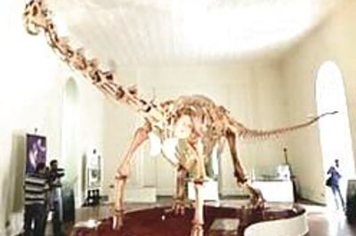 Many dinosaurs yet to be discovered