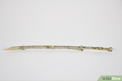 How to Make Kitten Toys