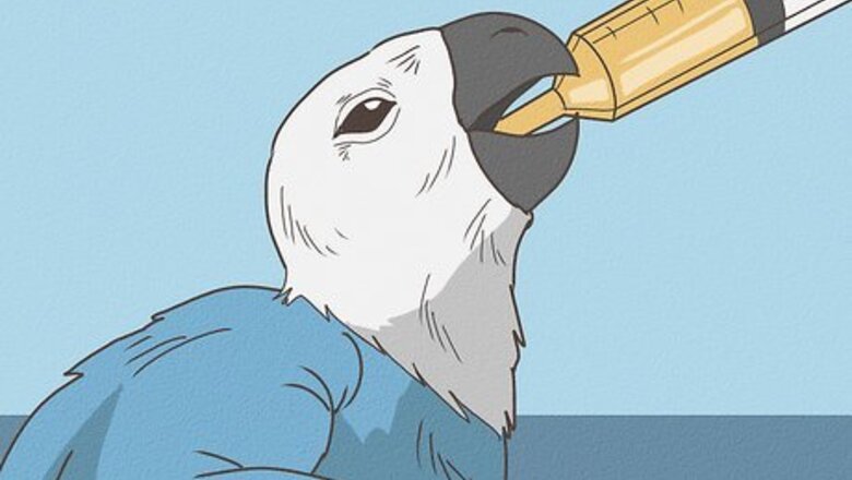 How to Raise a Snuggly Bird