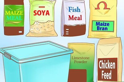 How to Make Feed for Chickens