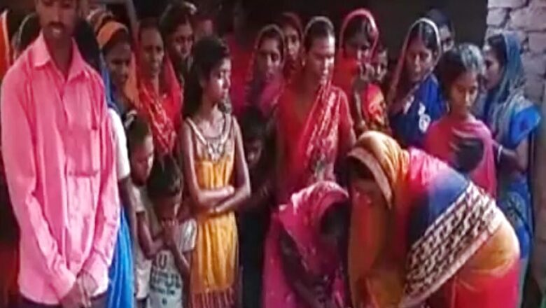 Couple Dies After After Swarm of Bees Attacks Them in Jharkhand