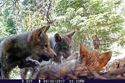 Protected Areas Cover A Sixth Of Earth's Land And Freshwater