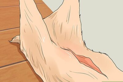 How to Skin a Deer
