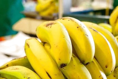Is It Safe to Consume Bananas During Monsoon? Here's What Ayurveda Says