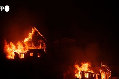 At Least 19 Dead in Chile Forest Fires, Toll Likely To Increase: Government