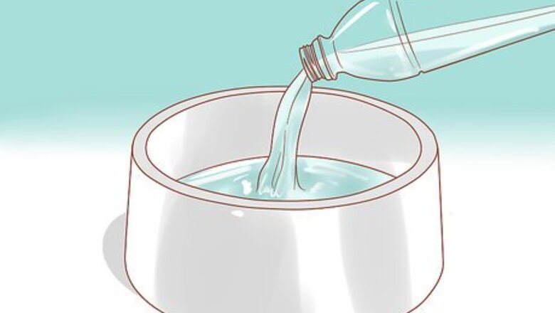 How to Take Care of a West Highland White Terrier