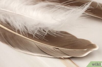 How to Make Feather Earrings