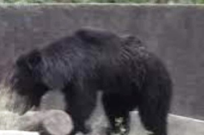 Why Kakatiya Zoological Park In Telangana Is A Must-visit This Summer