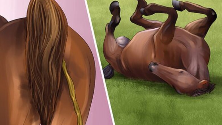 How to Get Rid of Strongyle Infestations in Horses