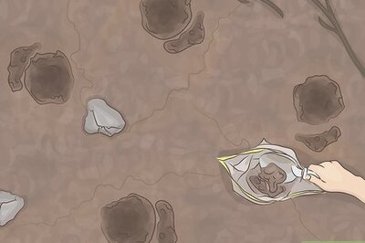 How to Prepare Soil for the Application of Fertiliser