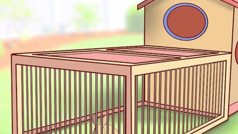 How to Have a Rabbit Friendly Garden