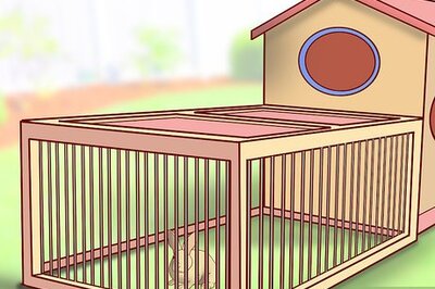 How to Have a Rabbit Friendly Garden