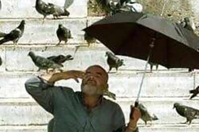 Humidity could be risky for elderly