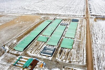 Oil Drops as Surging Covid-19 Infections Stoke Demand Concerns