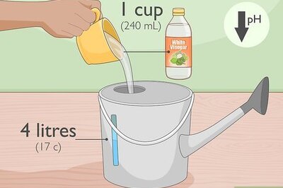 How to Garden With Vinegar