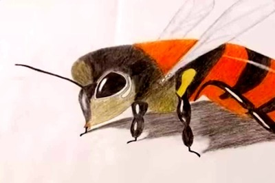 In Tamil Nadu's Namakkal, 3D Painting Takes Centre Stage At Cultural Festival