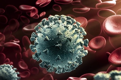 Kerala: 14-Year-Old Who Tested Positive for Nipah Dies of Cardiac Arrest