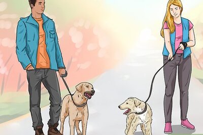 How to Dog‐Sit when You Have Your Own Dog