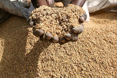 Delhi Govt Under Control of 'Ration Mafia', Says BJP Amid Row Over Doorstep Delivery Scheme