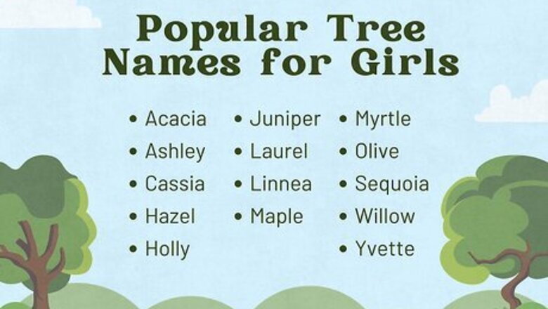 130+ Pretty Tree Names for Girls Inspired by Nature