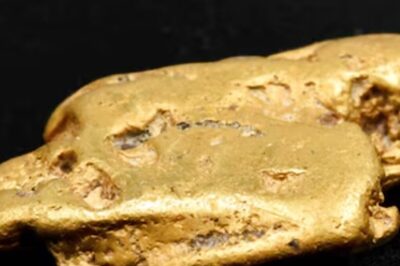 67-year-old Man Unearths UK's Largest Gold Nugget Worth Rs 31 Lakh Using Metal Detector