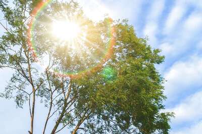 World Meteorological Day 2022: Date, Theme, History and Significance