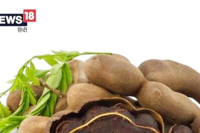 From Shelter To Spirits, Astonishing Facts About Tamarind Tree