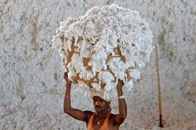 Govt Cuts BT Cotton Seed Price by Rs 10 Per Packet; Royalty to Monsanto Cut by Half