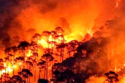 4 Including 3 Forest Workers Killed After Fire Breaks Out In Uttarakhand's Binsar Wildlife Sanctuary