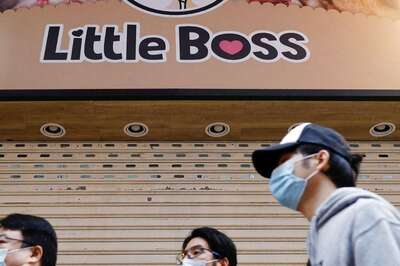 Hong Kong to Cull Hamsters After Covid-19 Found in Pet Shop