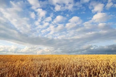 Special Campaign To Resolve Stalled Installment Of PM Kisan Samman Nidhi To Begin Today