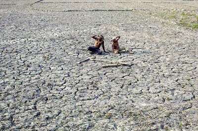 Worrying situation in drought-hit Telangana, Andhra Pradesh