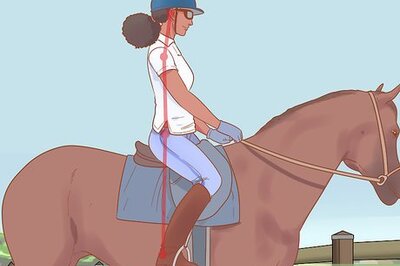 How to Control and Steer a Horse Using Your Seat and Legs
