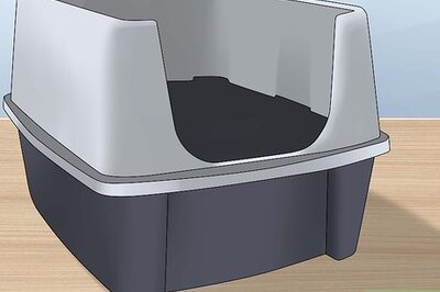 How to Make Homemade Rabbit Toys