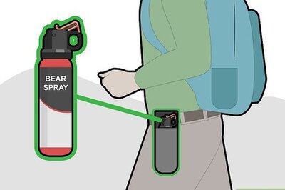 How to Use Bear Spray