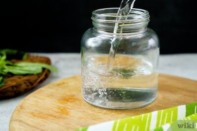 How to Store Fresh Basil