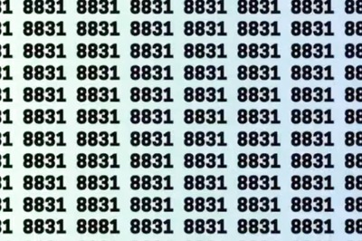 Optical Illusion: Find The Number 8881, You Have 10 Seconds