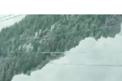 On Video | Avalanche at J&K's Sonamarg; 1 Dead, 2 Others Missing