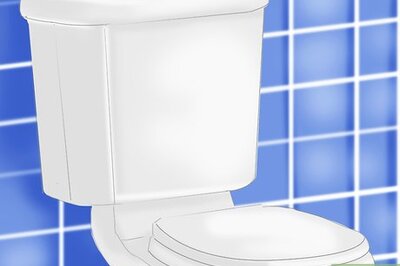 How to Maintain Healthy Gut Bacteria