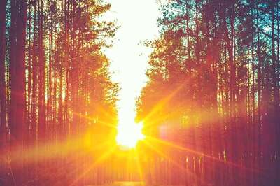 Aaj Ka Panchang, 1 March, 2024: Tithi, Vrat, and Today’s Shubh, Ashubh Muhurat