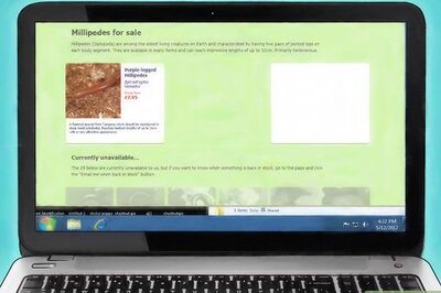 How to Care for Giant African Millipedes