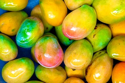 'Dawat-e-Aam': Nothing 'aam' About This Mango Feast in Capital