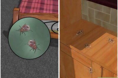 How to Control Pests