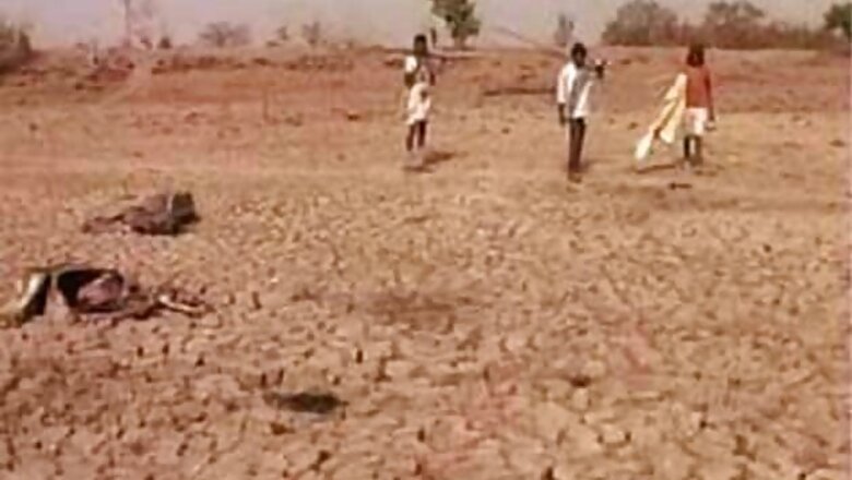 Maharashtra to pay Rs 2,172 cr to drought-hit farmers