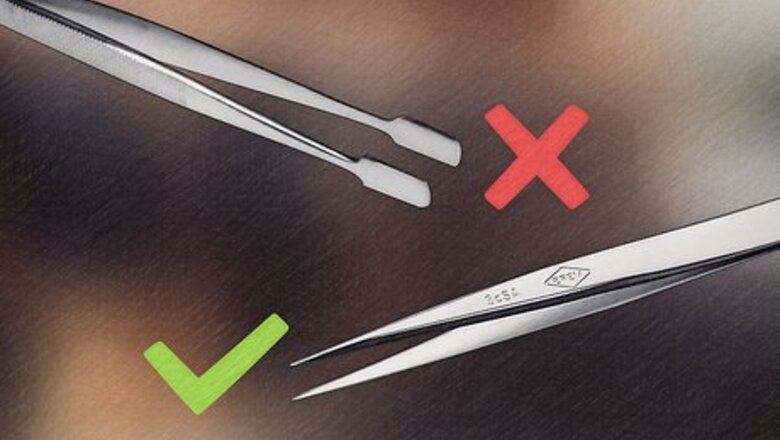 How to Remove a Tick from a Horse