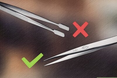 How to Remove a Tick from a Horse